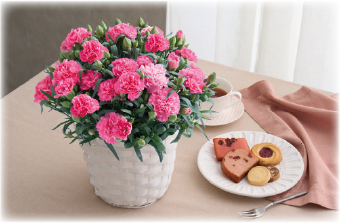 彩のジェラート"CUBE"をご堪能ください。